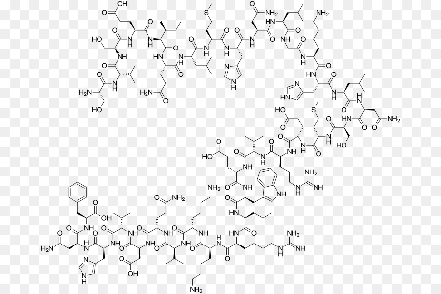 Hcg，Osteoporoz PNG