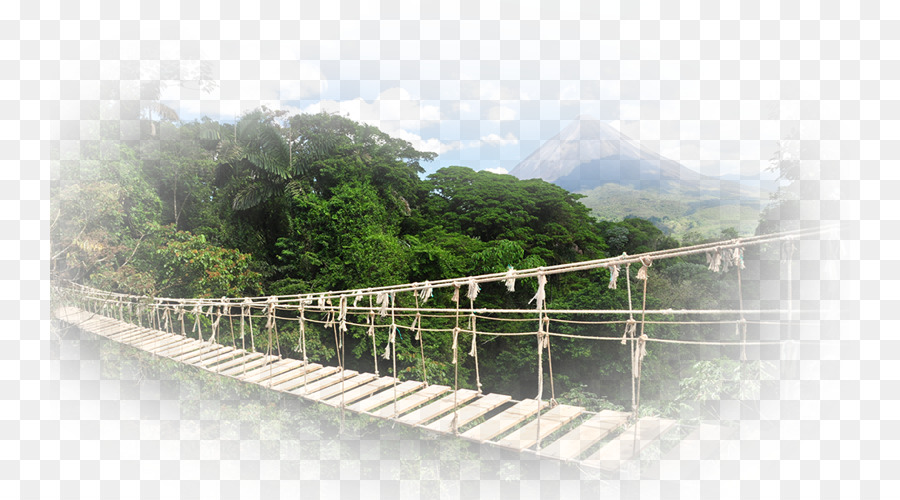 Monteverde，Seyahat PNG