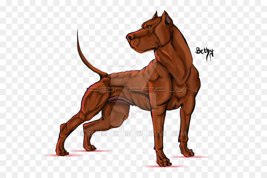 Köpek ırkı，Köpek PNG