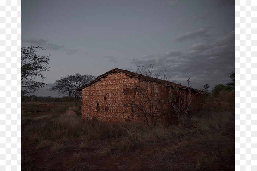 özellik，Stok Fotoğraf PNG