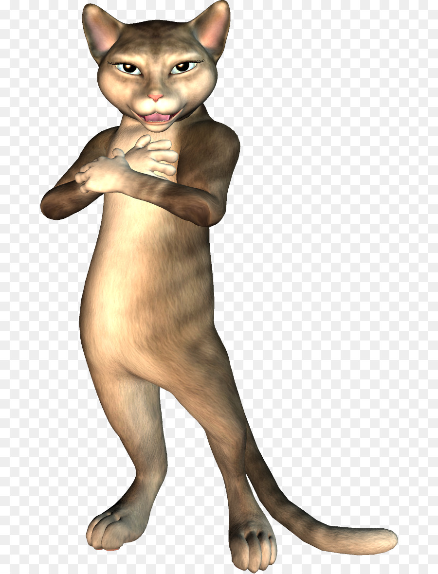 Bıyıkları，Kedi PNG