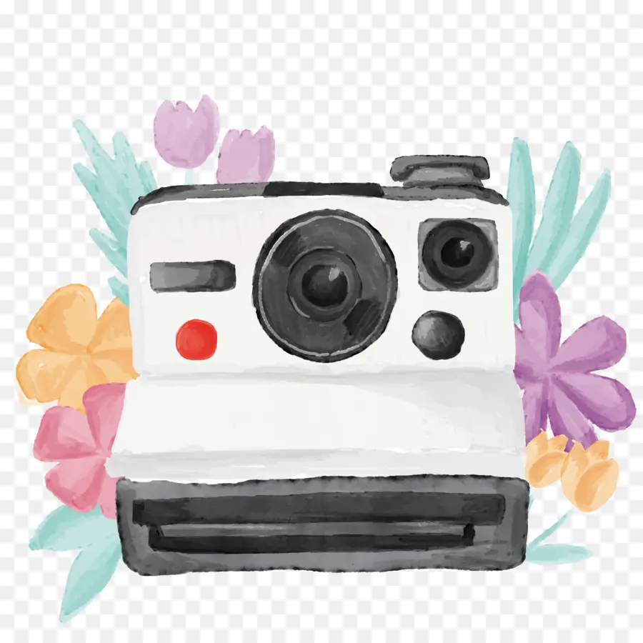 Polaroid Kamera，Nostaljik PNG