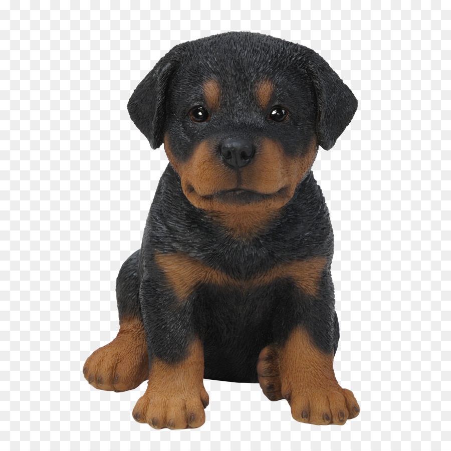 Köpek Yavrusu，Köpek PNG