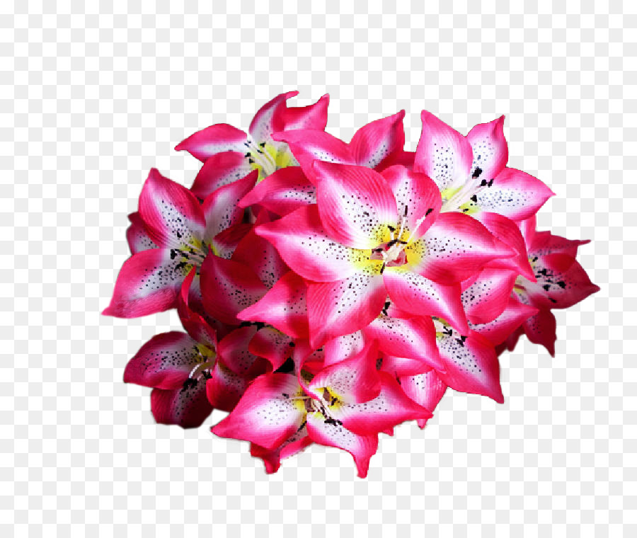 çiçek，Yapay çiçek PNG
