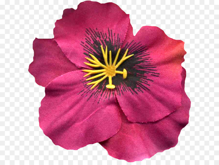 Dalya，Kesme çiçekler PNG