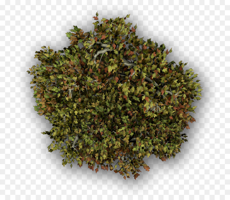 Za Atar，Ot PNG