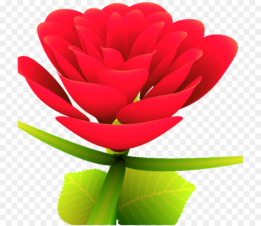 Bahçe Güller，Plaj Rose PNG