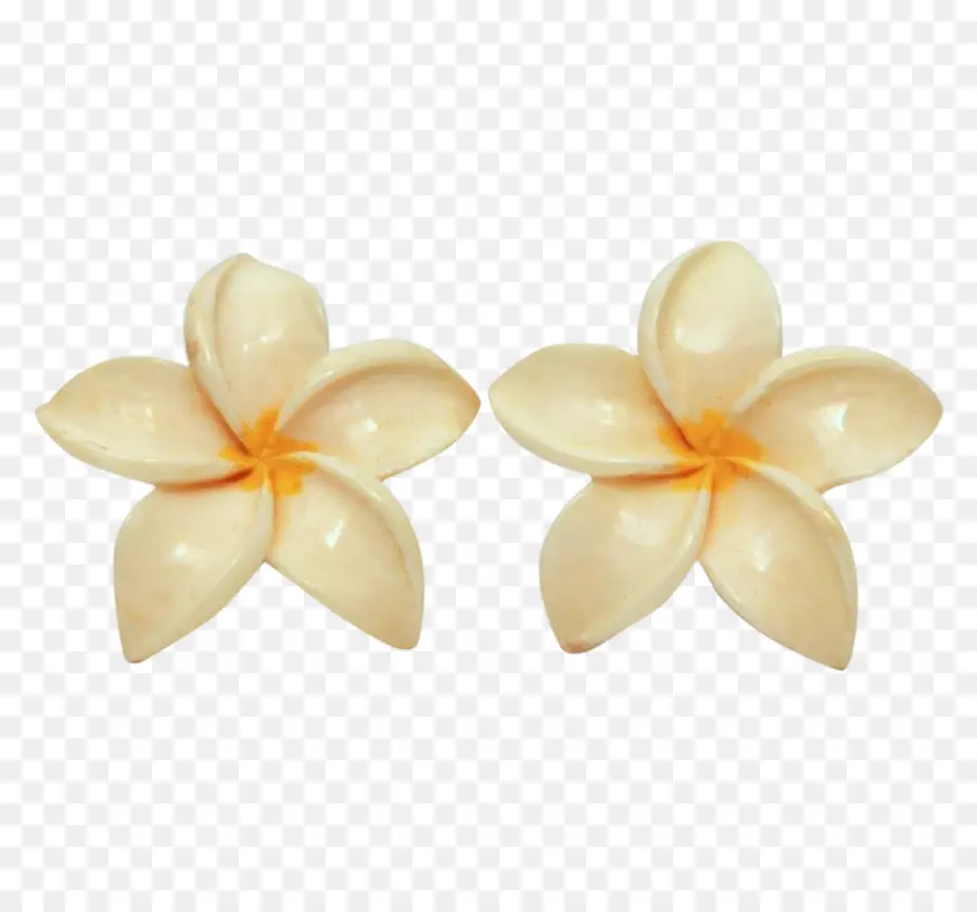 Çiçekler，Plumeria PNG