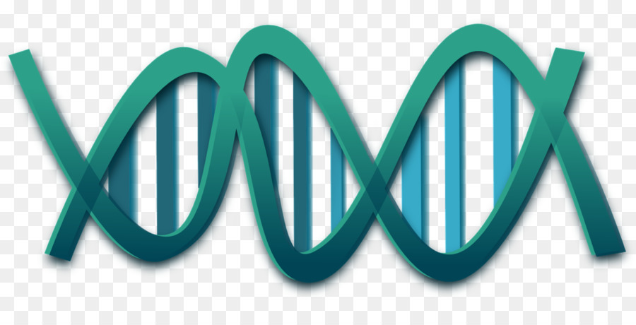 Dna，Genetik PNG