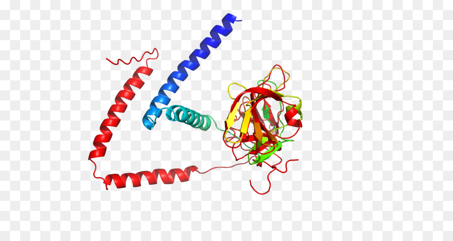 Protein，Molekül PNG