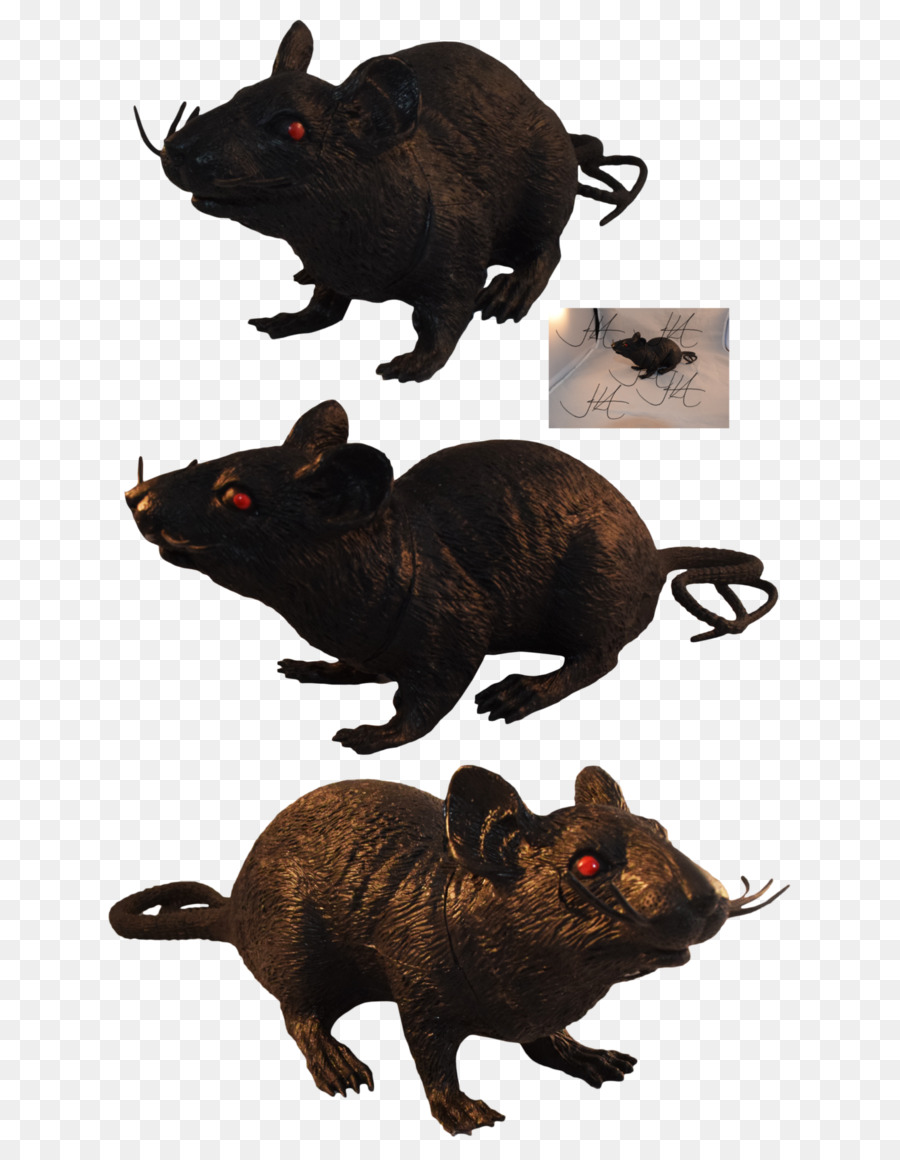 Fare，Siyah Sıçan PNG