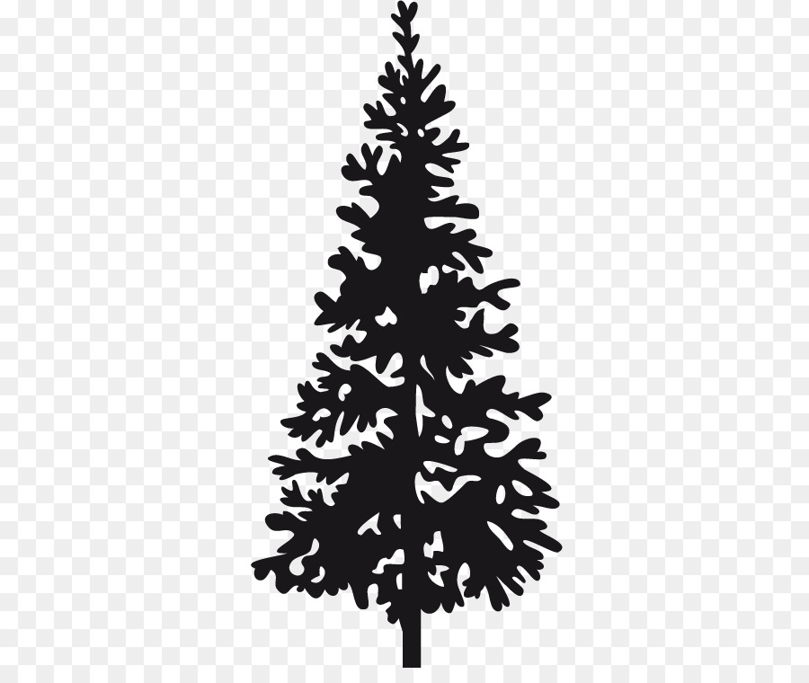 Noel Ağacı，çam PNG