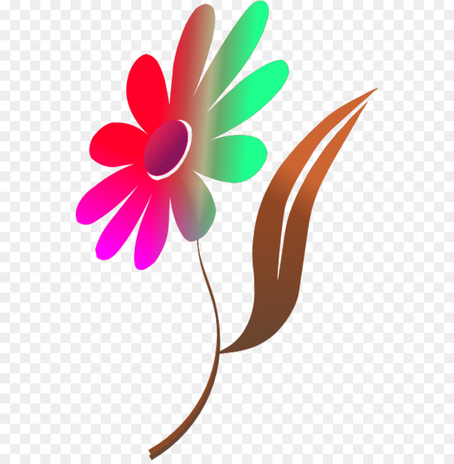 çiçek，Renk PNG