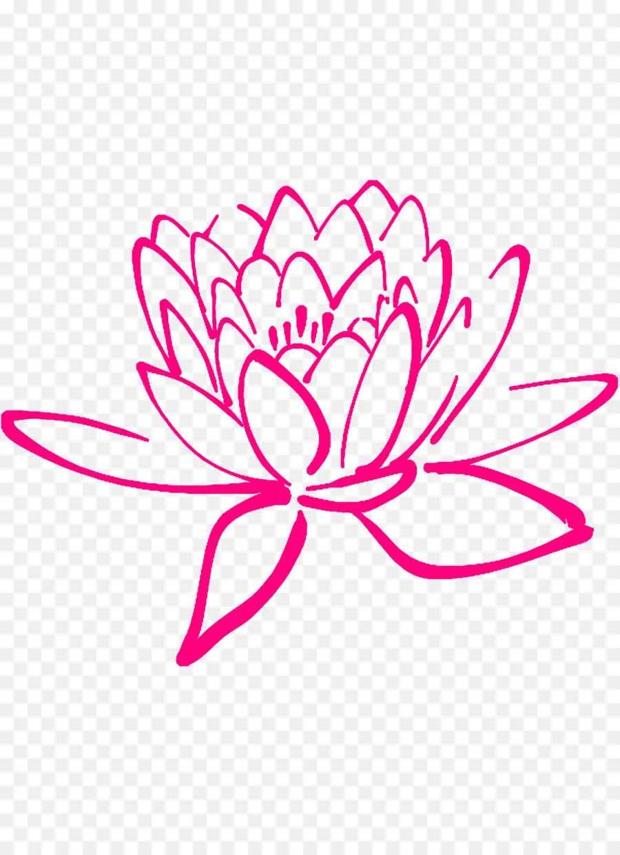 Pembe Lotus，Çiçeği PNG