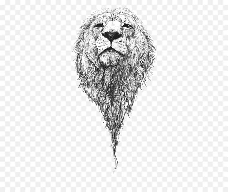 Aslan，Yele PNG