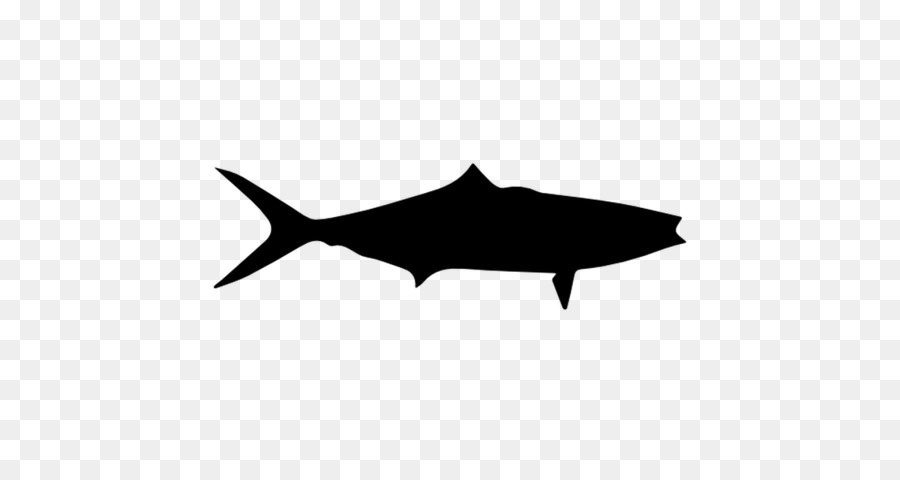 Köpekbalığı，Yunus PNG