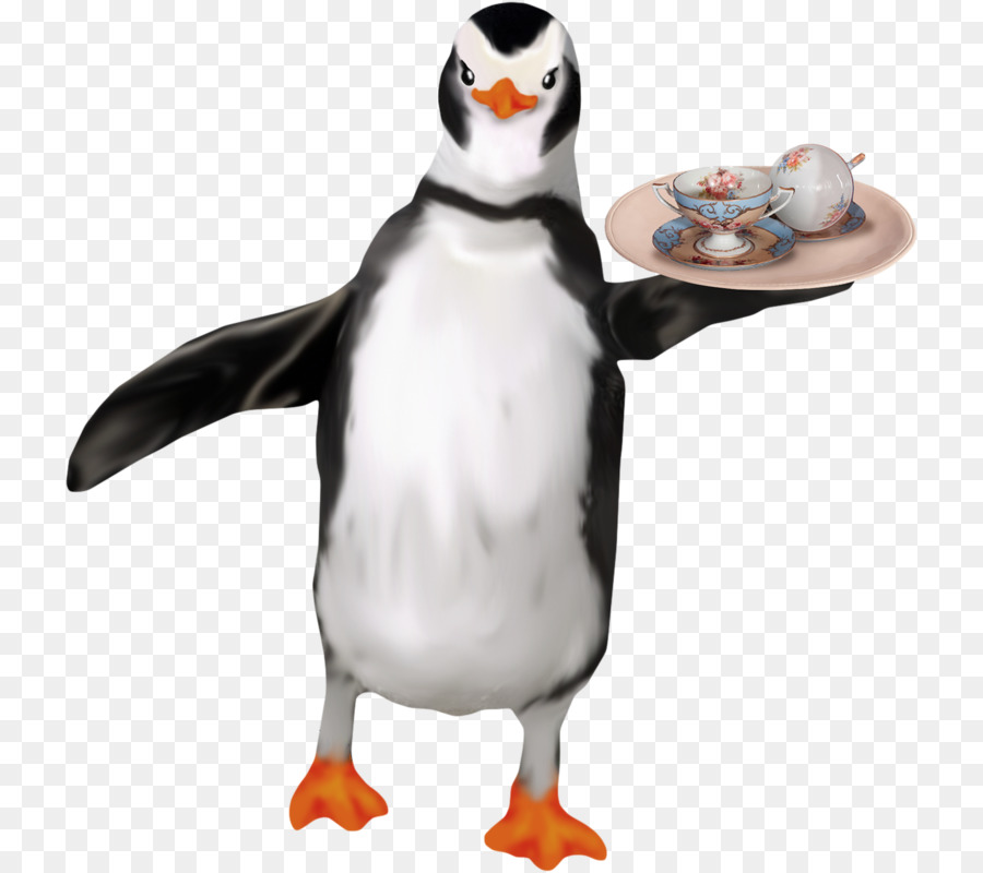 Penguen，Servis PNG