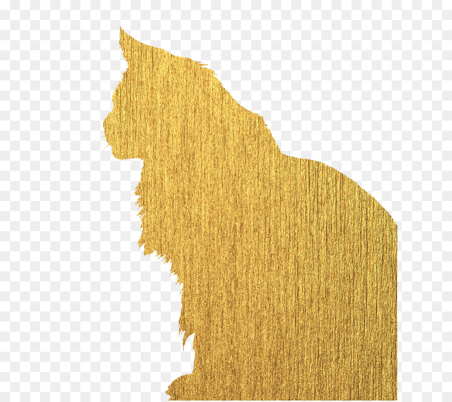 Maine Coon，Maine PNG
