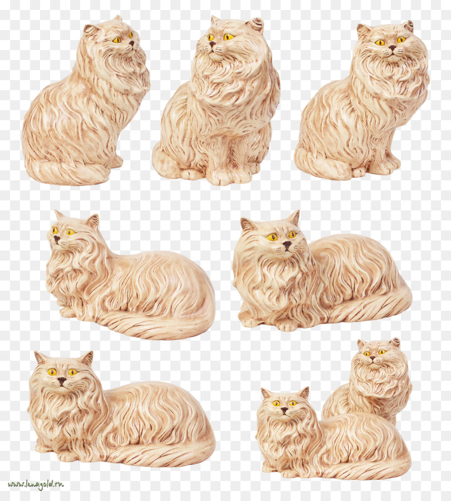 Tekir Kedi，Kedi PNG