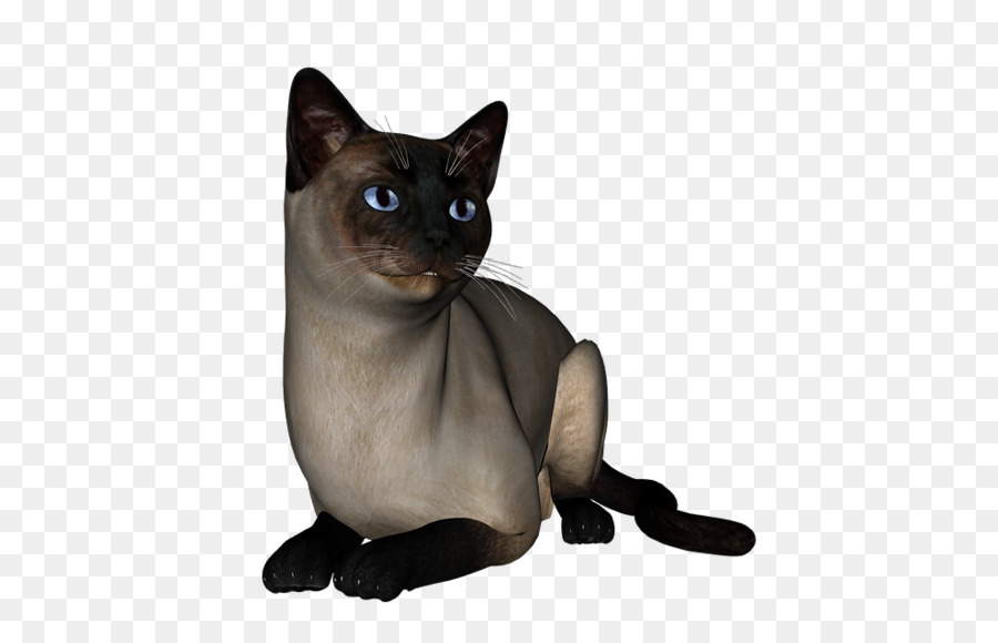 Siyam Kedisi，Birmanya Kedi PNG