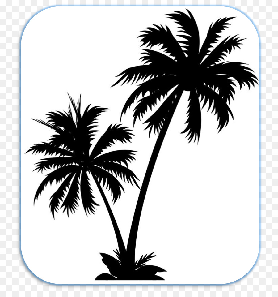 Arecaceae，Royaltyfree PNG