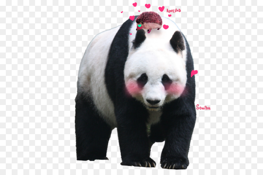 Pikselleşme，Dev Panda PNG