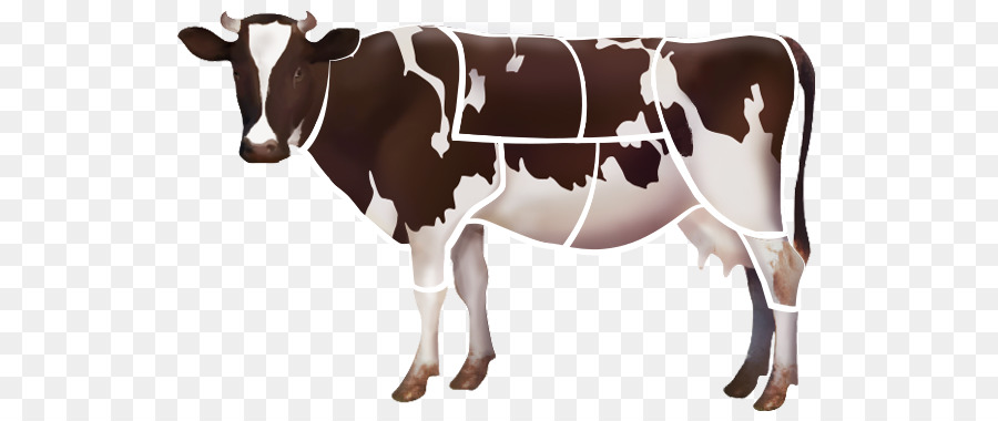 Siyah Alaca Sığır，Süt Sığırları PNG