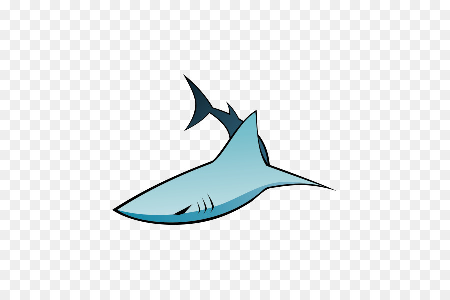 Requiem Köpekbalığı，Köpekbalığı PNG