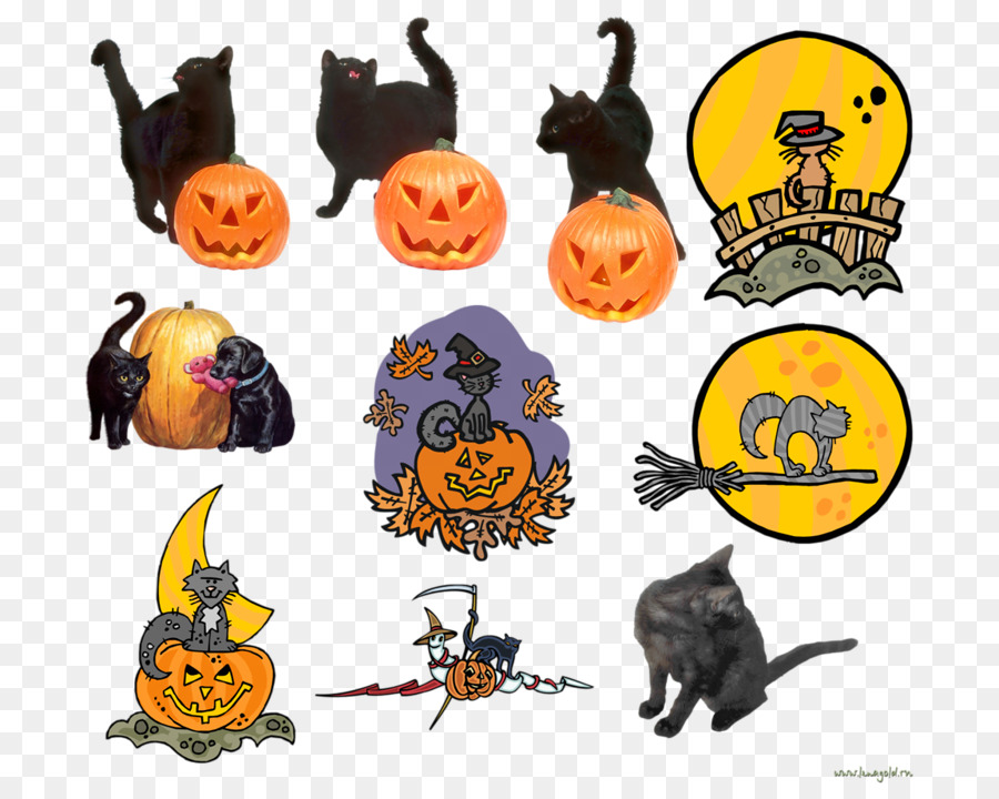 Kedi，Jack Lantern PNG