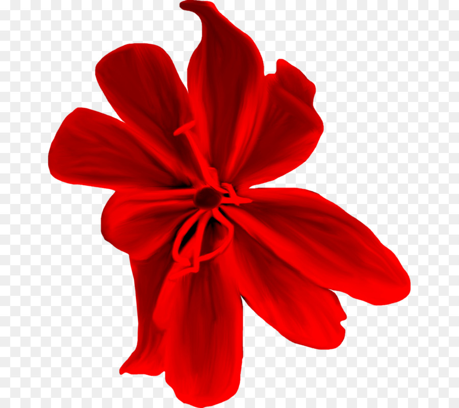 Yaprağı，Kesme çiçekler PNG