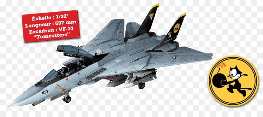 Grumman F14 Tomcat，Apache Tomcat PNG