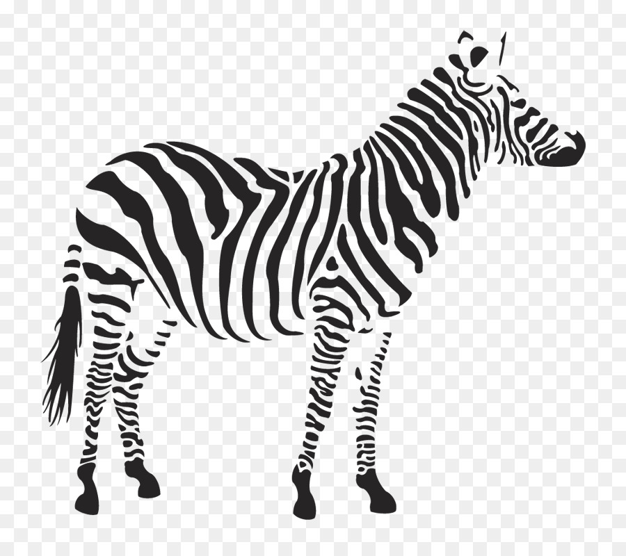 Zebra，Çizgili PNG