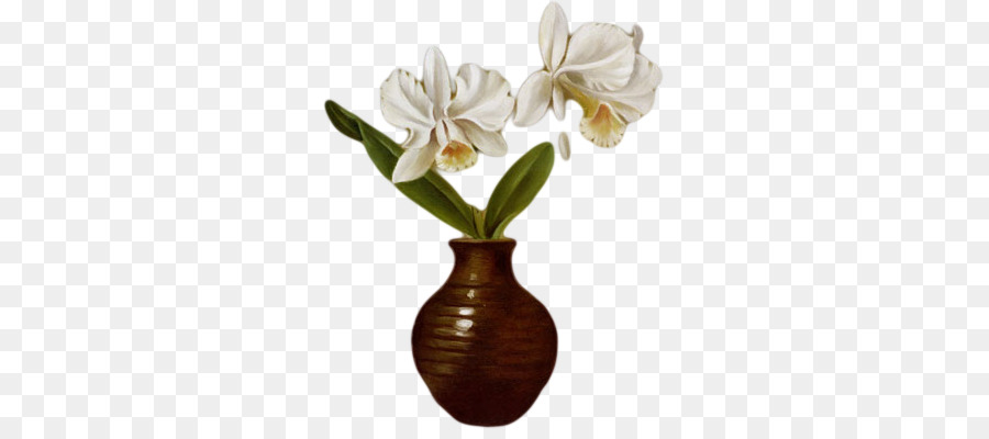 Narin，çiçek PNG