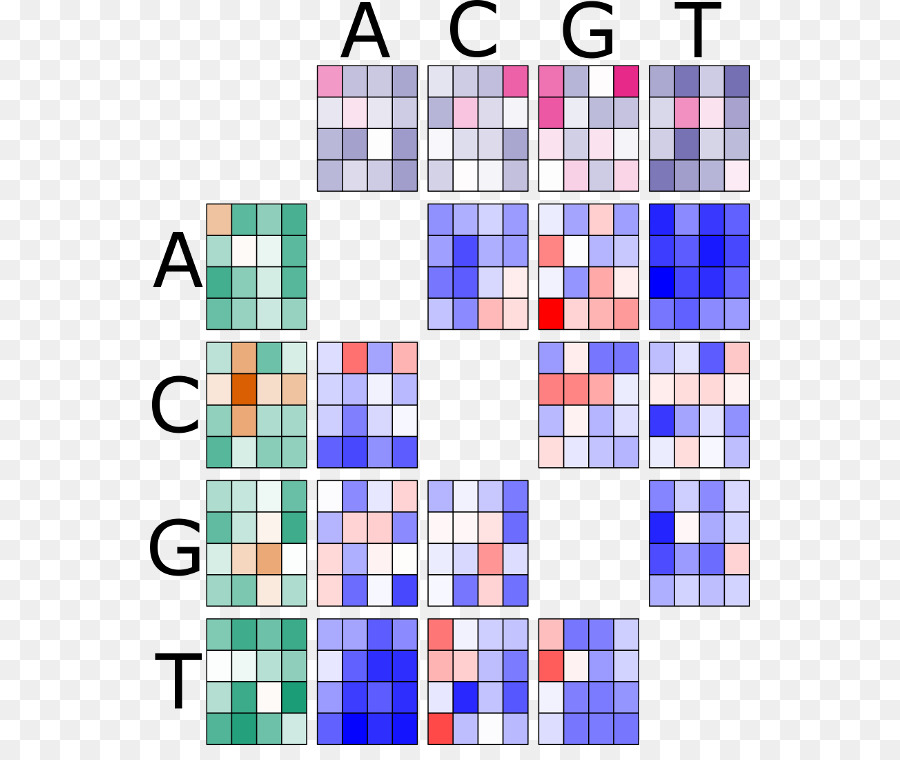 ıowa Üniversitesi Sağlık，Analizi PNG