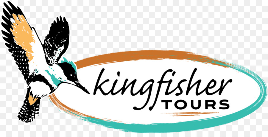 Logo，Kingfisher Turları PNG