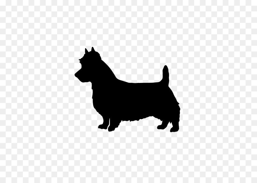 Pembroke Galler Corgi，Avustralya Terrier PNG