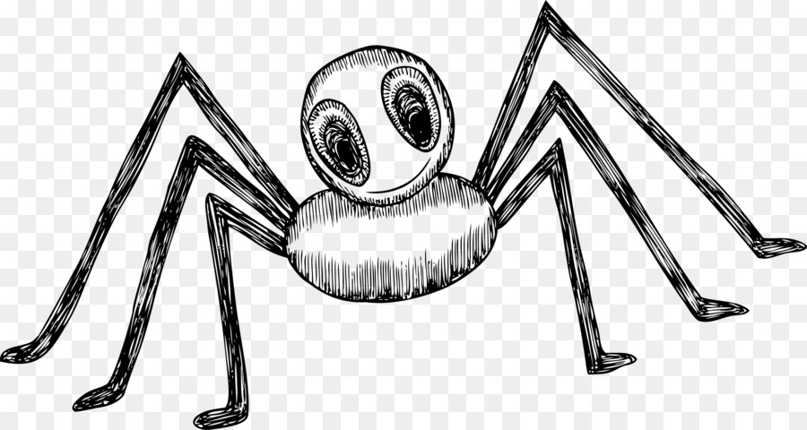 örümcek，Çizim PNG