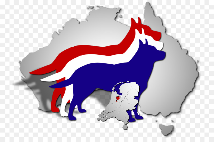 Avustralya Sığır Köpeği，Köpekgillerin PNG