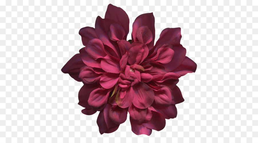 çiçek，Resim Çerçeveleri PNG