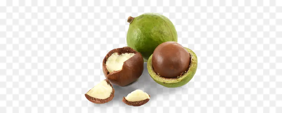 Macadamia Fıstığı，Yeşil Kabuk PNG