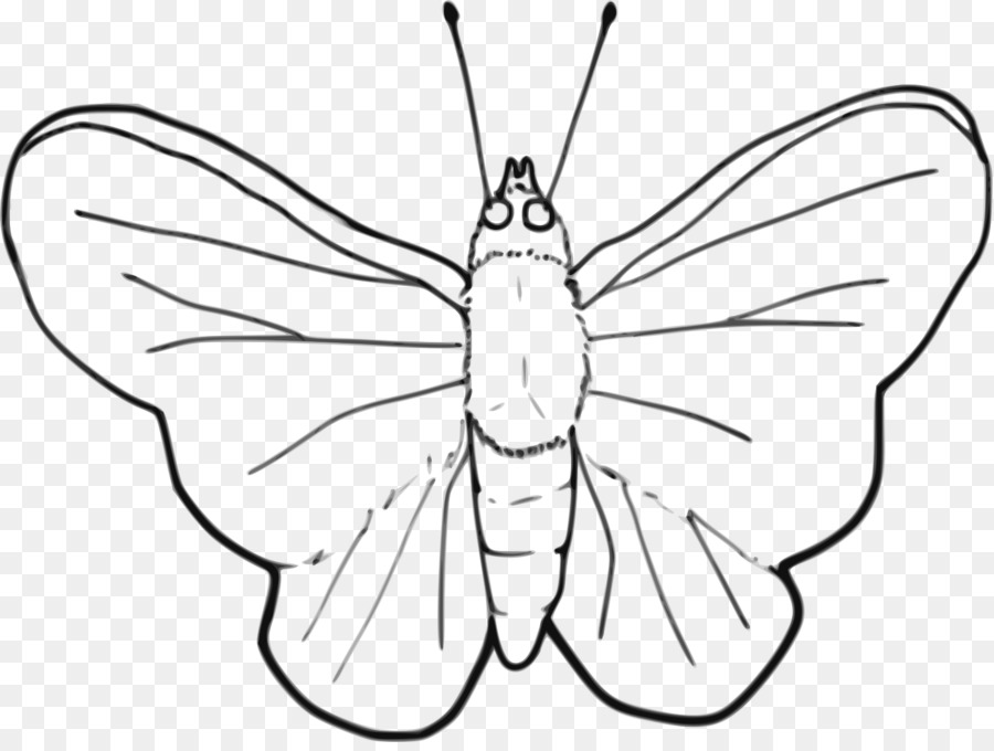 Kelebek，Hat Sanatı PNG