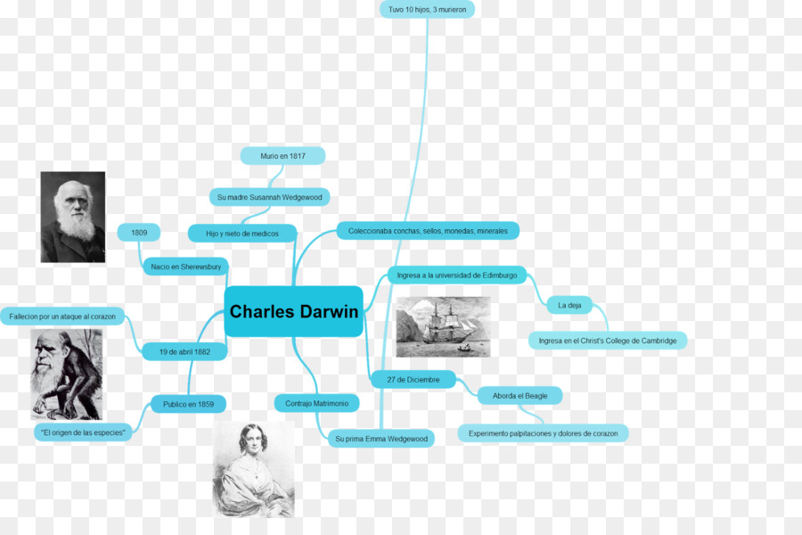 Charles Darwin Zihin Haritası，Zihin Haritası PNG