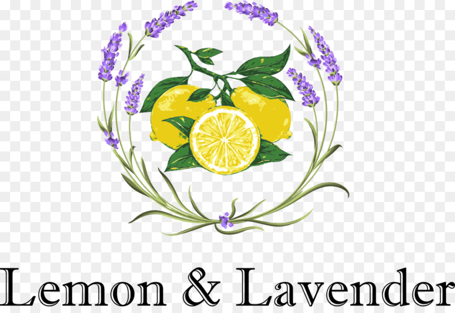 Limon Lavanta，Lavanta PNG