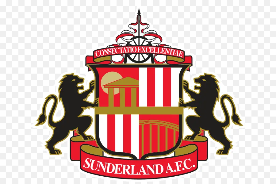 Sunderland A F C Logo，Futbol PNG