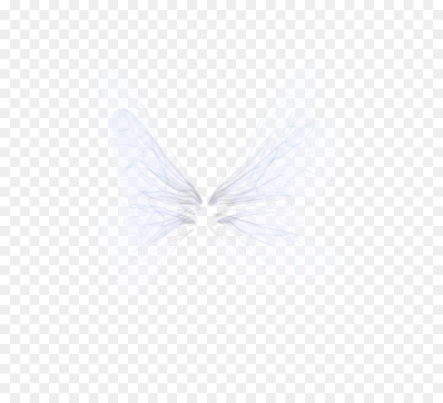 Kelebek，Photoscape PNG