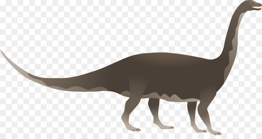 Riojasaurus，Hayvan PNG