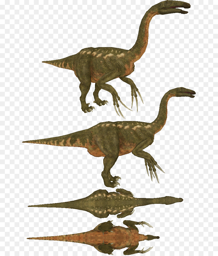 Therizinosaurus，Velociraptor PNG