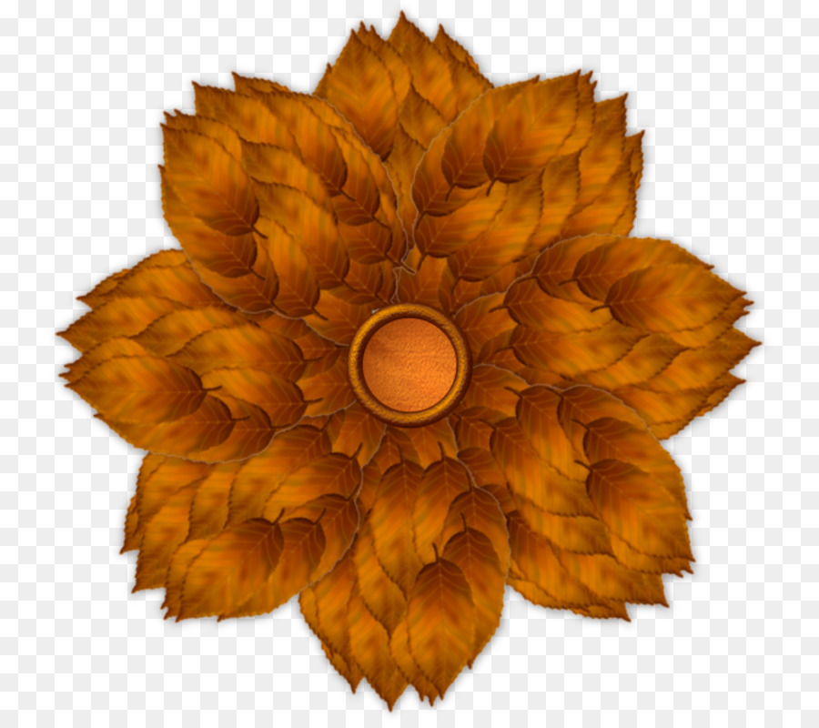 çiçek，Blume PNG