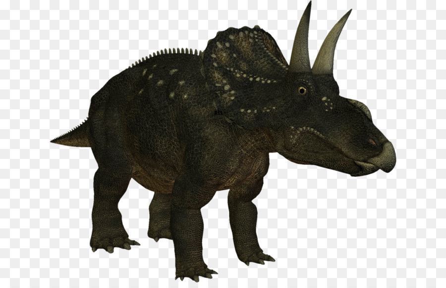 Torosaurus，Bir Iguanadon PNG