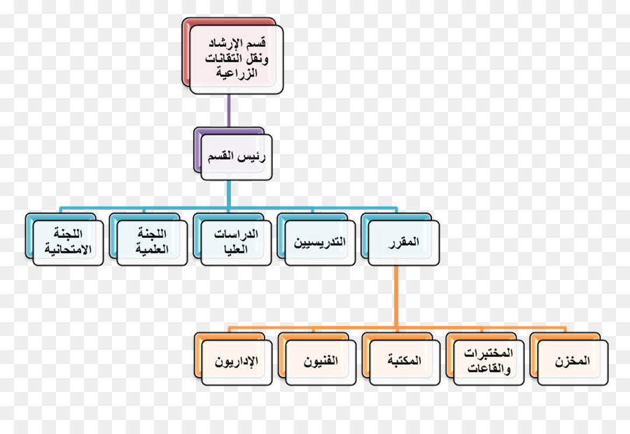 Organizasyon Şeması，Yapı PNG